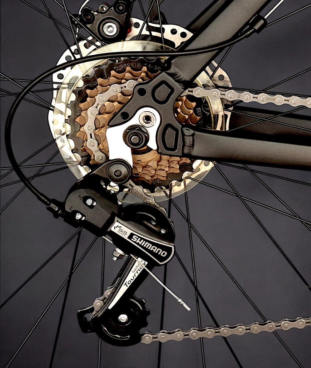 BICICLETA THOMPSON GERRY 29"