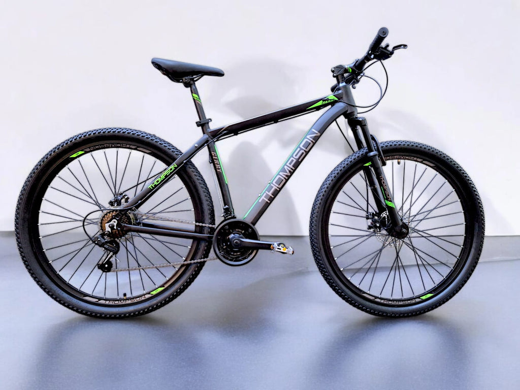 BICICLETA THOMPSON GERRY 29"