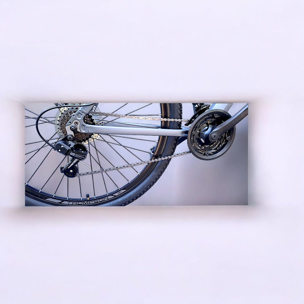 BICICLETA THOMPSON GERRY 29"