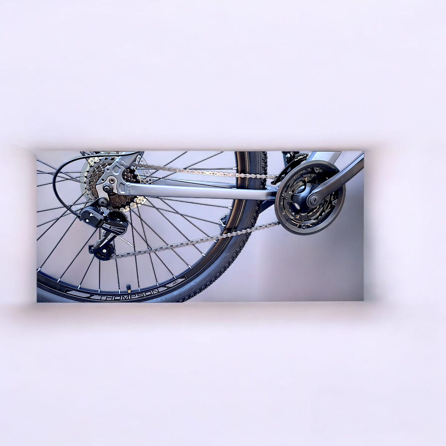 BICICLETA THOMPSON GERRY 29"