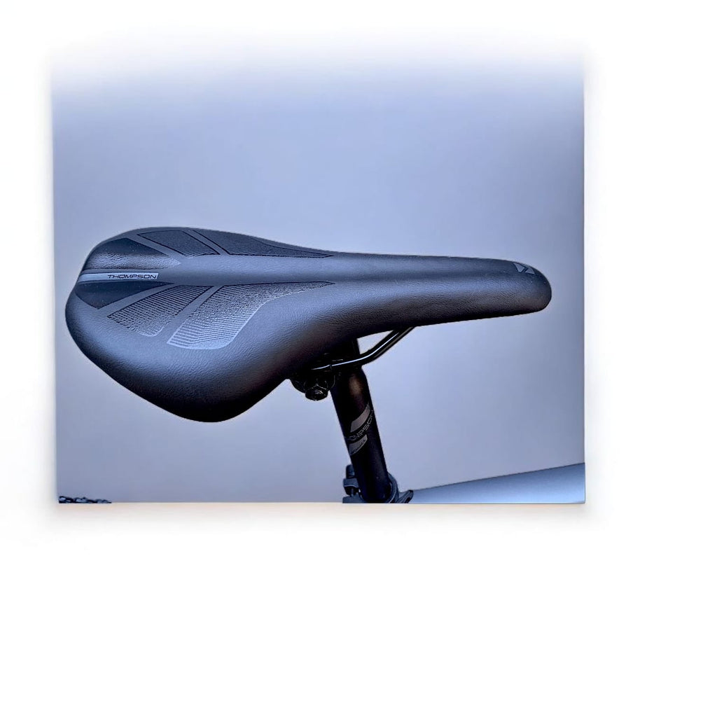 BICICLETA THOMPSON GERRY 29"