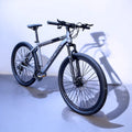 BICICLETA THOMPSON GERRY 29"