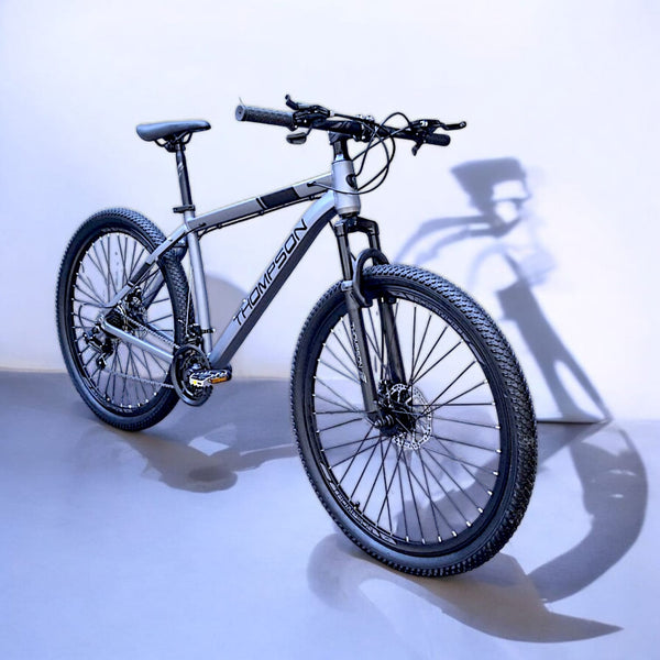 BICICLETA THOMPSON GERRY 29"