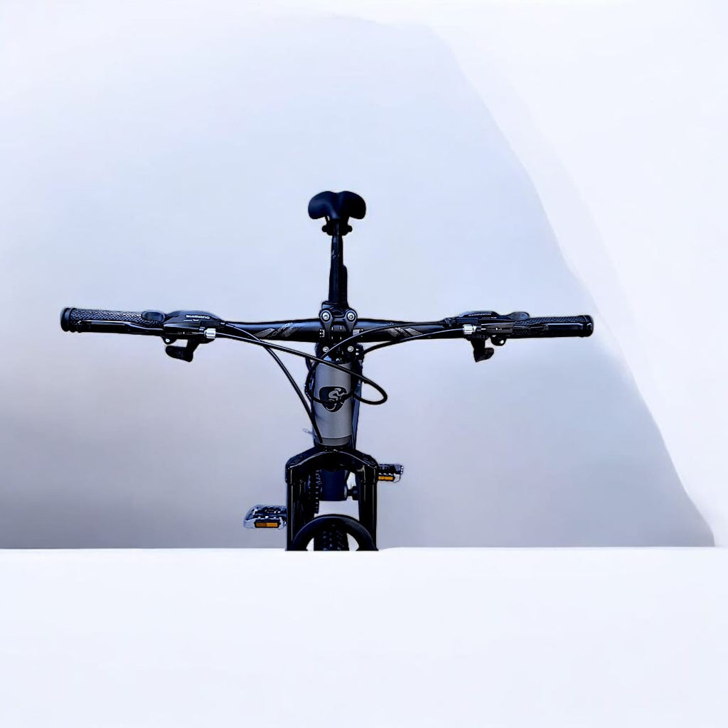 BICICLETA THOMPSON GERRY 29"