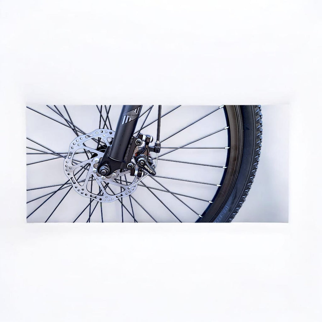 BICICLETA THOMPSON GERRY 29"