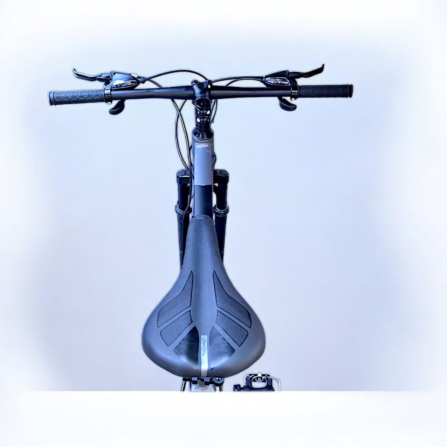 BICICLETA THOMPSON GERRY 29"