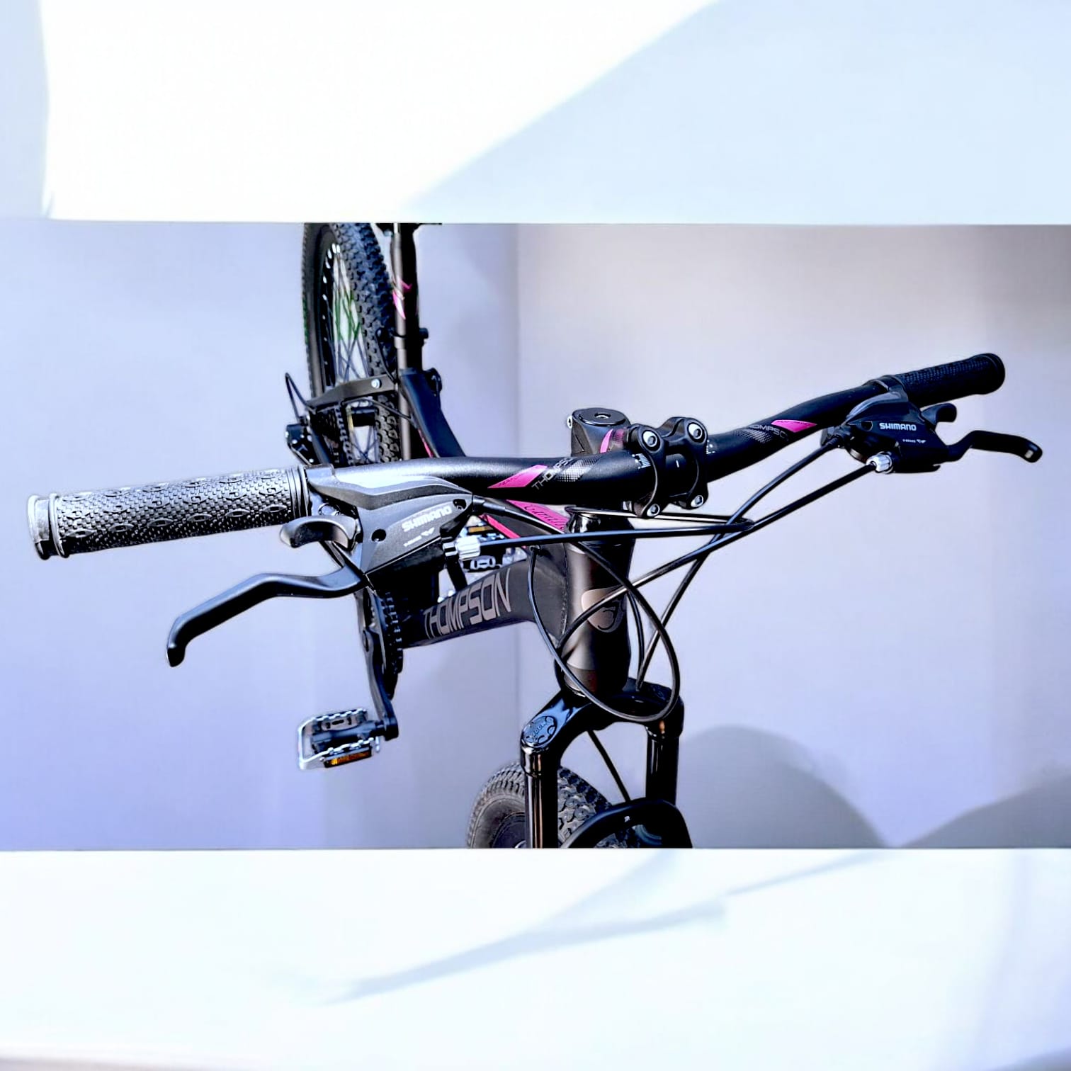 Bicicleta Thompson Camille