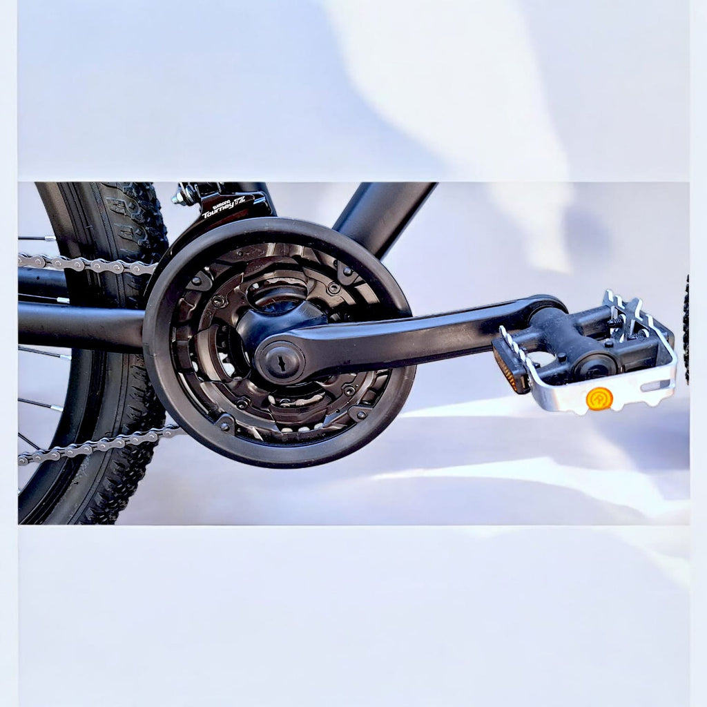 Bicicleta Thompson Camille