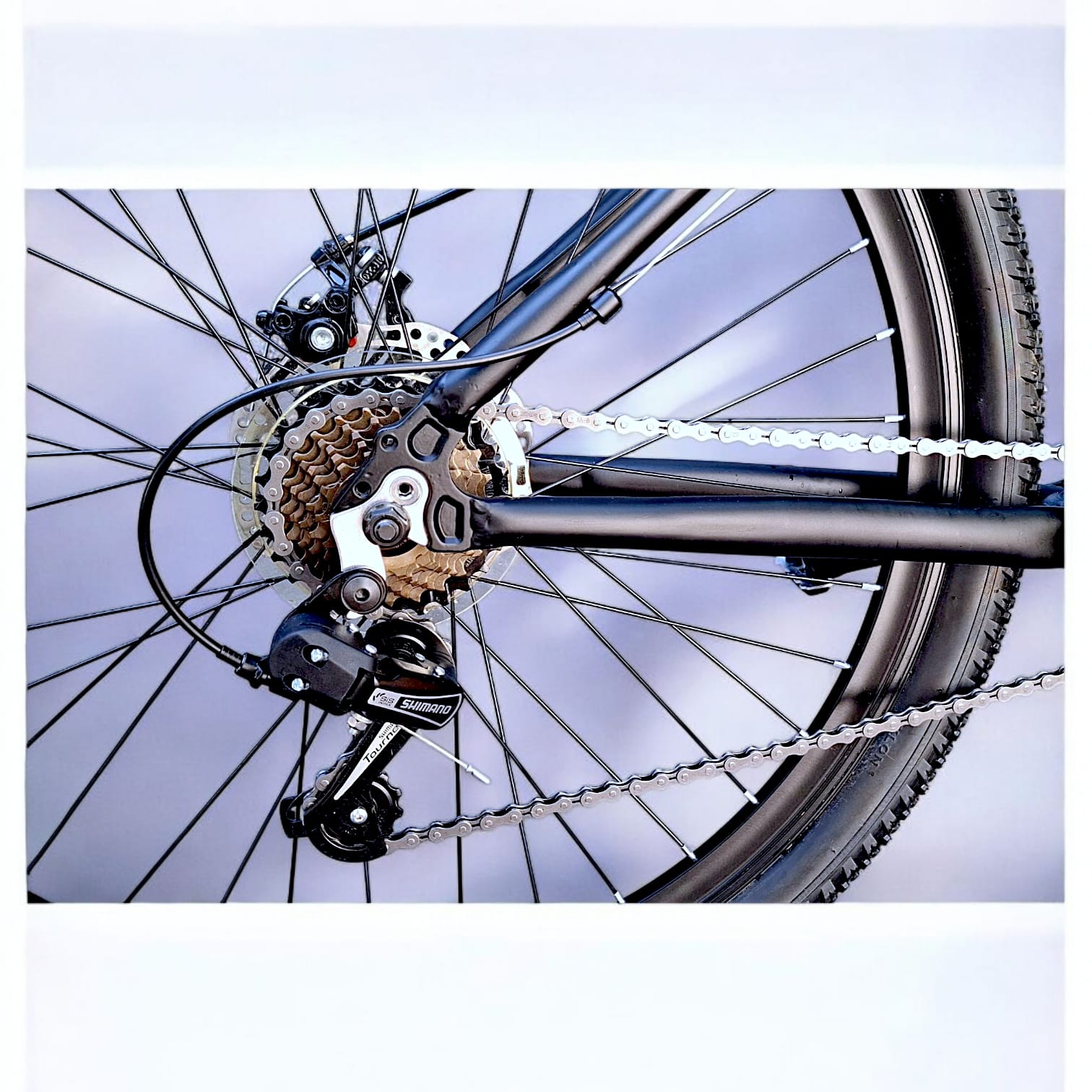 Bicicleta Thompson Camille