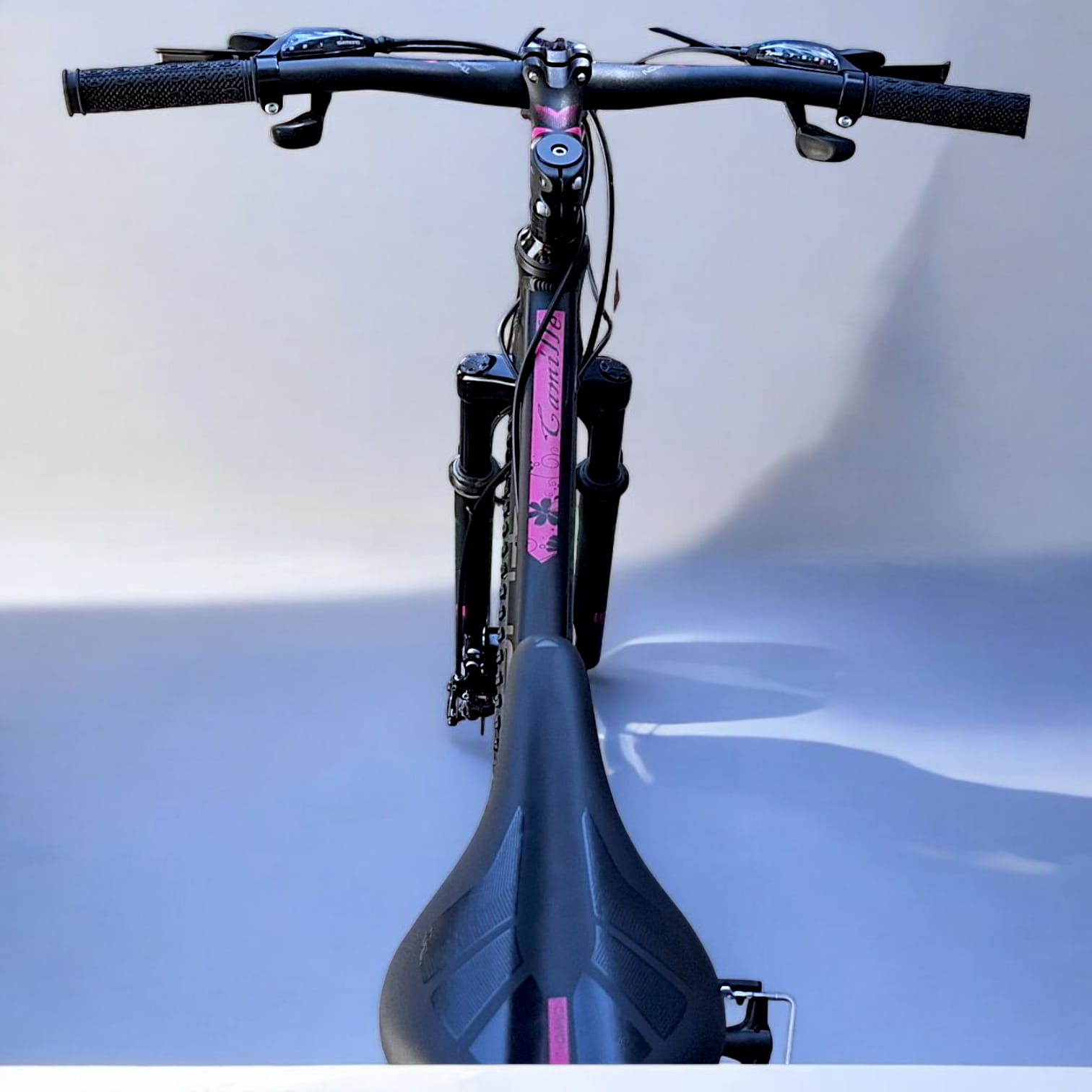 Bicicleta Thompson Camille