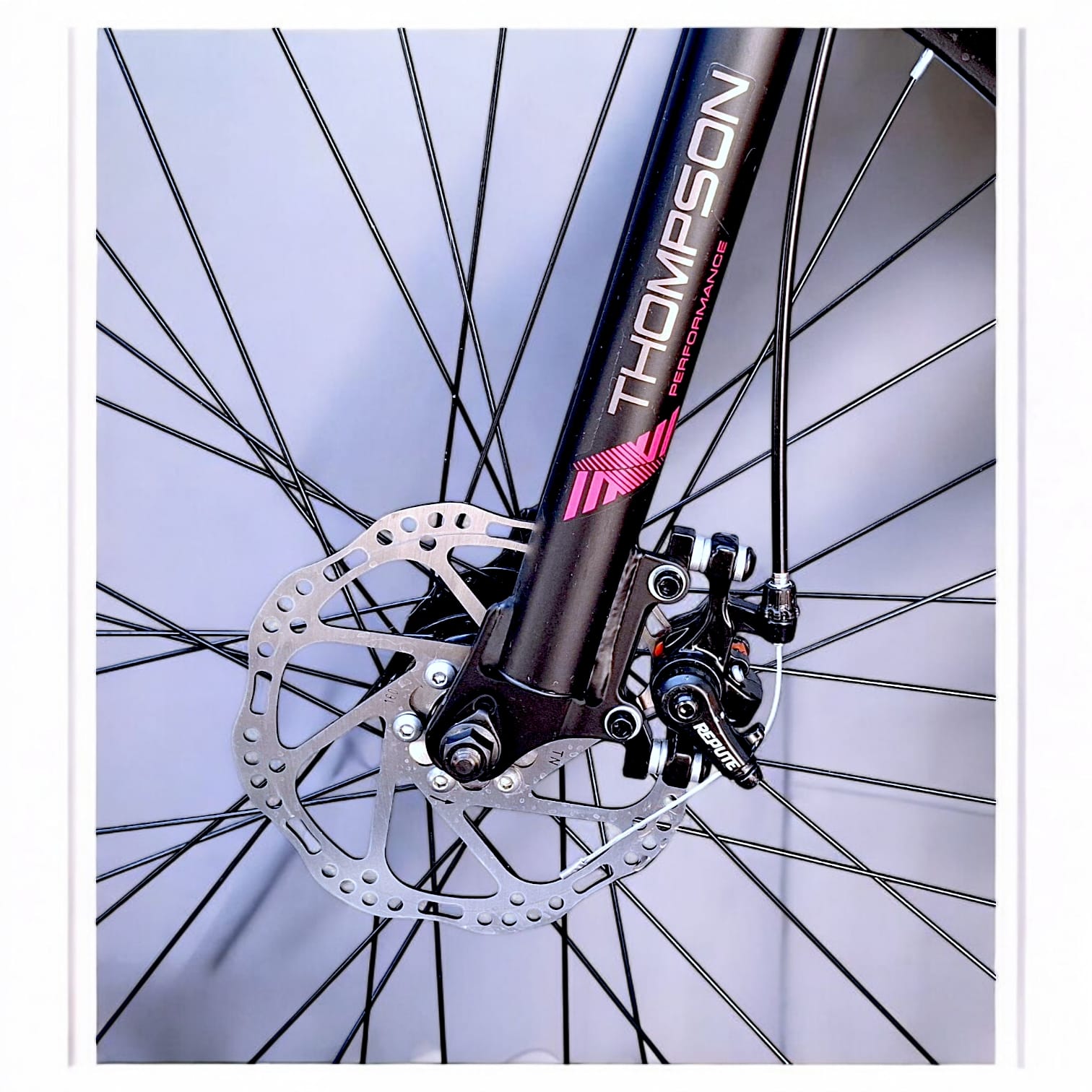 Bicicleta Thompson Camille