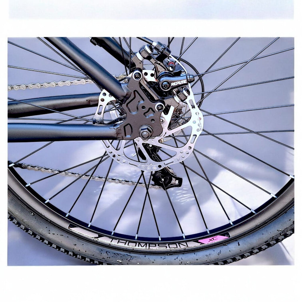 Bicicleta Thompson Camille
