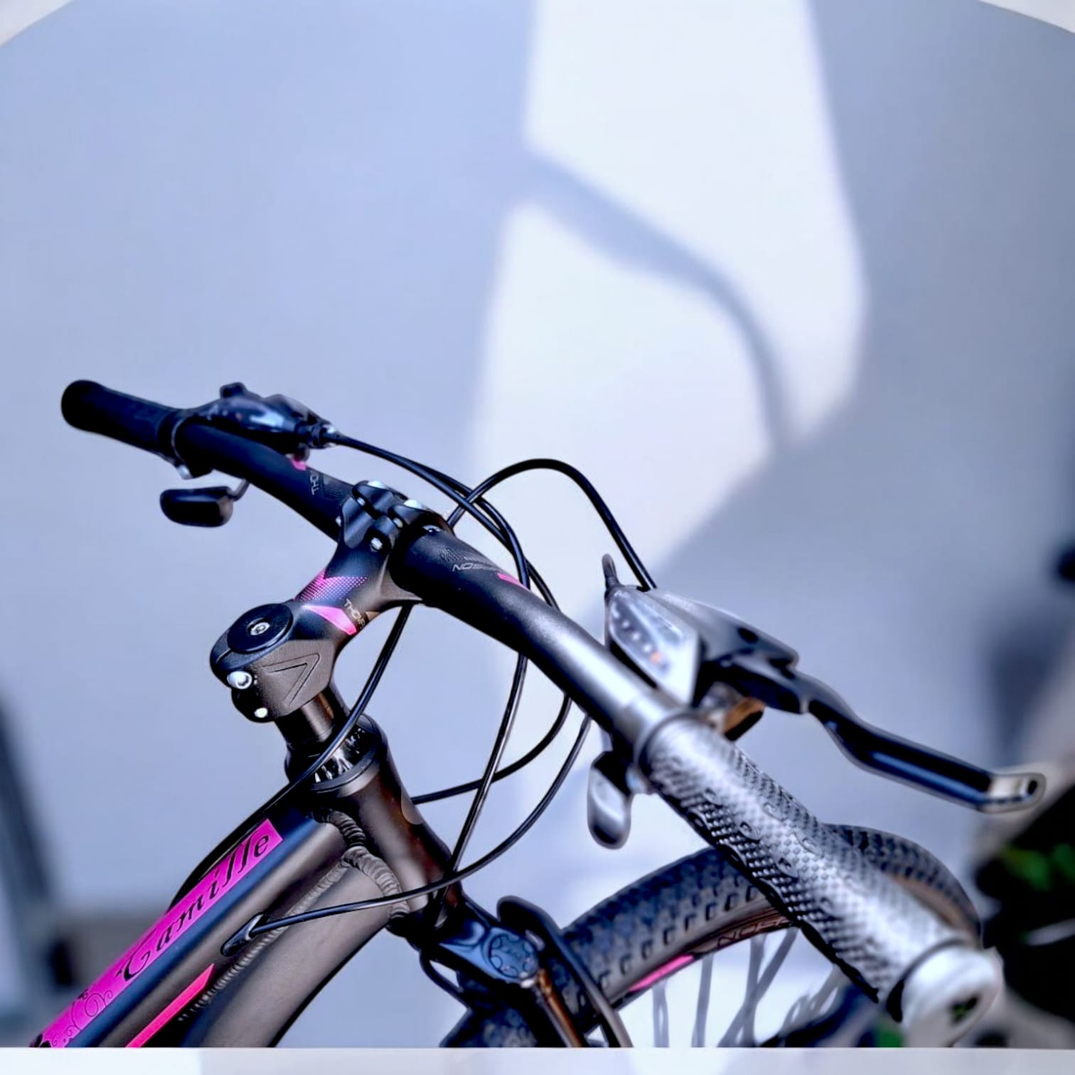 Bicicleta Thompson Camille