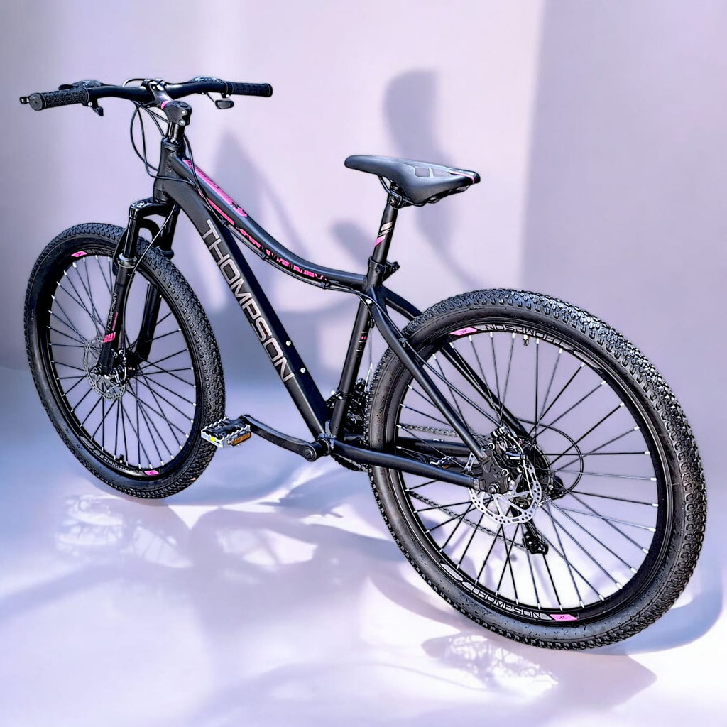 Bicicleta Thompson Camille
