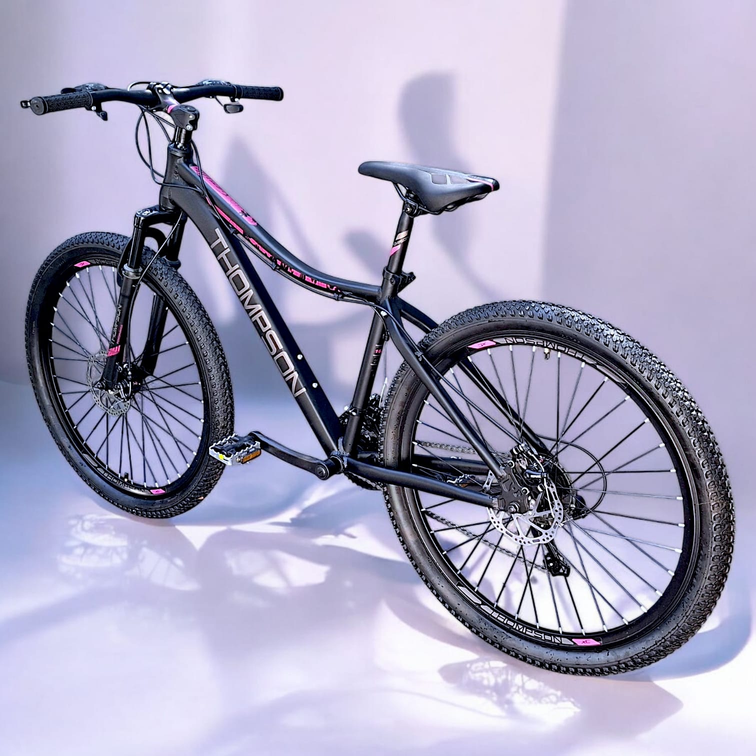 Bicicleta Thompson Camille