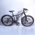 Bicicleta Thompson Camille