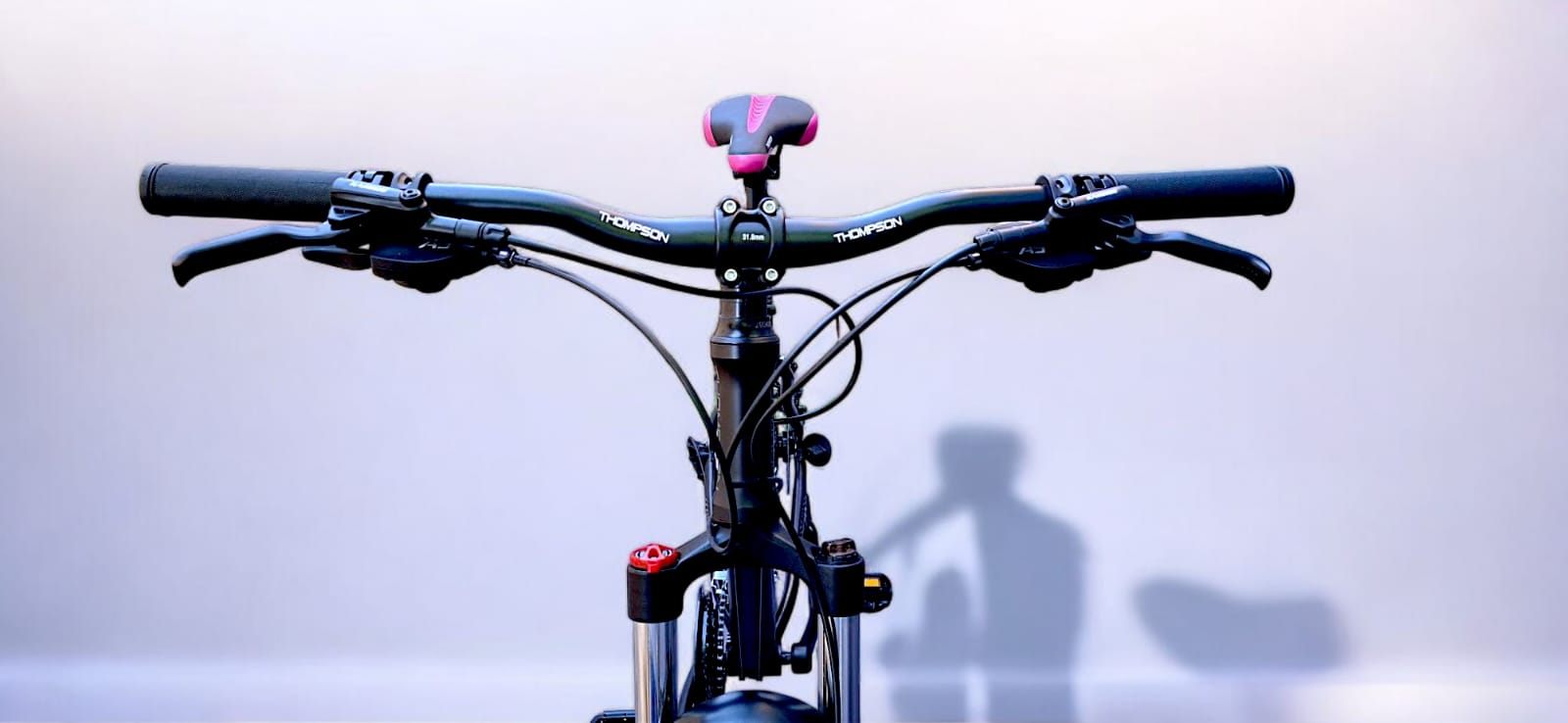 BICICLETA THOMPSON KAMROS A 5