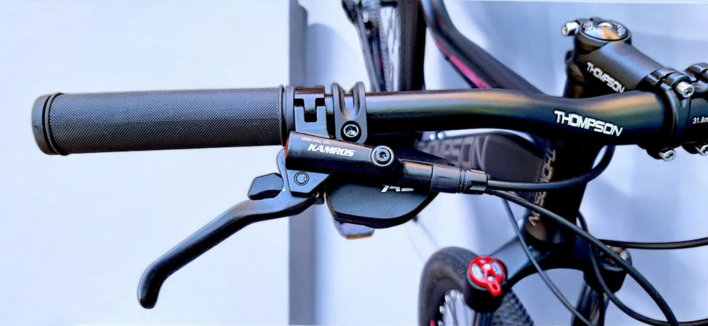 BICICLETA THOMPSON KAMROS A 5